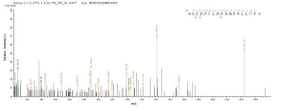 Based on the SEQUEST from database of E.coli host and target protein, the LC-MS/MS Analysis result of this product could indicate that this peptide derived from E.coli-expressed Homo sapiens (Human) CYP11B1.