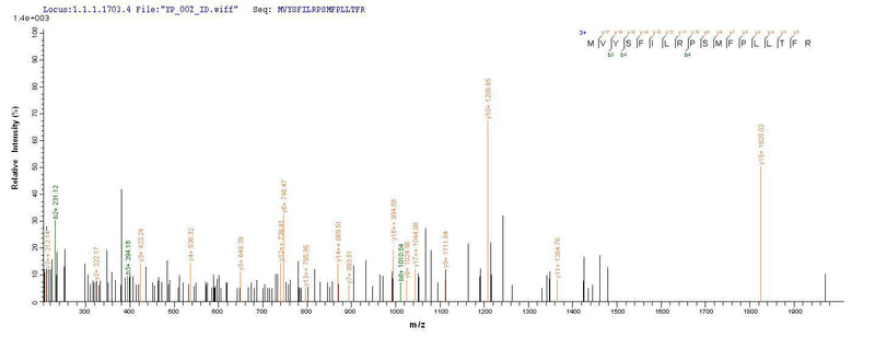 Based on the SEQUEST from database of E.coli host and target protein, the LC-MS/MS Analysis result of this product could indicate that this peptide derived from E.coli-expressed Homo sapiens (Human) CYP11B1.