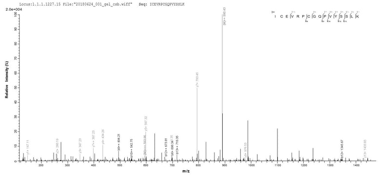 Based on the SEQUEST from database of E.coli host and target protein, the LC-MS/MS Analysis result of this product could indicate that this peptide derived from E.coli-expressed Mus musculus (Mouse) Cyr61.Recombinant Mouse Ccn Family Member 1 (CCN1) Protein (His)