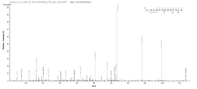 Based on the SEQUEST from database of E.coli host and target protein, the LC-MS/MS Analysis result of this product could indicate that this peptide derived from E.coli-expressed Mus musculus (Mouse) Cyr61.Recombinant Mouse Ccn Family Member 1 (CCN1) Protein (His)