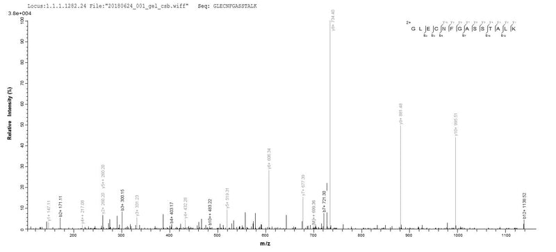 Based on the SEQUEST from database of E.coli host and target protein, the LC-MS/MS Analysis result of this product could indicate that this peptide derived from E.coli-expressed Mus musculus (Mouse) Cyr61.Recombinant Mouse Ccn Family Member 1 (CCN1) Protein (His)