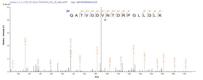 Based on the SEQUEST from database of E.coli host and target protein, the LC-MS/MS Analysis result of this product could indicate that this peptide derived from E.coli-expressed Mus musculus (Mouse) Dbi.Recombinant Mouse Acyl-Coa-Binding Protein (DBI) Protein (His&Myc)