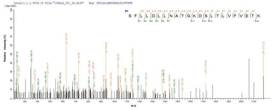 Based on the SEQUEST from database of E.coli host and target protein, the LC-MS/MS Analysis result of this product could indicate that this peptide derived from E.coli-expressed Homo sapiens (Human) DDX3X.Recombinant Human Atp-Dependent Rna Helicase Ddx3X (DDX3X) Protein (His-B2M)
