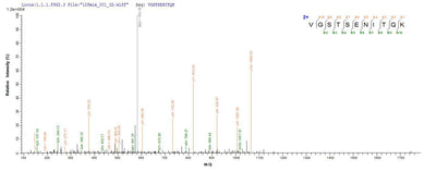 Based on the SEQUEST from database of E.coli host and target protein, the LC-MS/MS Analysis result of this product could indicate that this peptide derived from E.coli-expressed Homo sapiens (Human) DDX3X.Recombinant Human Atp-Dependent Rna Helicase Ddx3X (DDX3X) Protein (His-B2M)