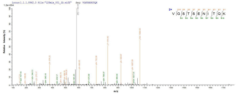 Based on the SEQUEST from database of E.coli host and target protein, the LC-MS/MS Analysis result of this product could indicate that this peptide derived from E.coli-expressed Homo sapiens (Human) DDX3X.Recombinant Human Atp-Dependent Rna Helicase Ddx3X (DDX3X) Protein (His-B2M)