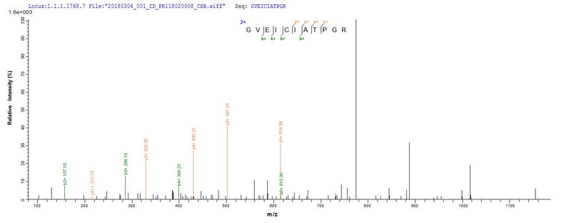 Based on the SEQUEST from database of E.coli host and target protein, the LC-MS/MS Analysis result of this product could indicate that this peptide derived from E.coli-expressed Homo sapiens (Human) DDX5.Recombinant Human Probable Atp-Dependent Rna Helicase Ddx5 (DDX5) Protein (His&Myc)