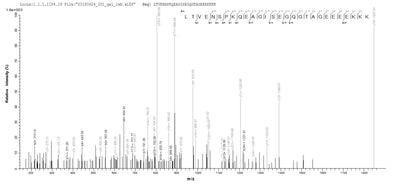 Based on the SEQUEST from database of E.coli host and target protein, the LC-MS/MS Analysis result of this product could indicate that this peptide derived from E.coli-expressed Homo sapiens (Human) DENR.