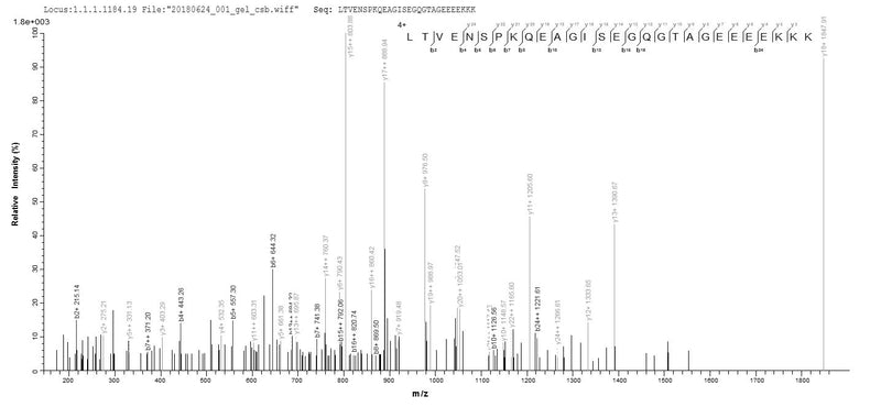 Based on the SEQUEST from database of E.coli host and target protein, the LC-MS/MS Analysis result of this product could indicate that this peptide derived from E.coli-expressed Homo sapiens (Human) DENR.