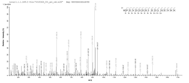 Based on the SEQUEST from database of E.coli host and target protein, the LC-MS/MS Analysis result of this product could indicate that this peptide derived from E.coli-expressed Homo sapiens (Human) DENR.