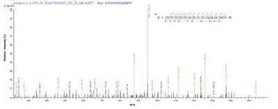 Based on the SEQUEST from database of E.coli host and target protein, the LC-MS/MS Analysis result of this product could indicate that this peptide derived from E.coli-expressed Homo sapiens (Human) DGKA.Recombinant Human Diacylglycerol Kinase Alpha (DGKA) Protein (His)
