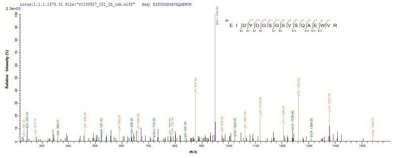 Based on the SEQUEST from database of E.coli host and target protein, the LC-MS/MS Analysis result of this product could indicate that this peptide derived from E.coli-expressed Homo sapiens (Human) DGKA.Recombinant Human Diacylglycerol Kinase Alpha (DGKA) Protein (His)