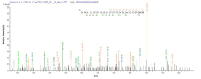 Based on the SEQUEST from database of E.coli host and target protein, the LC-MS/MS Analysis result of this product could indicate that this peptide derived from E.coli-expressed Homo sapiens (Human) DGKA.Recombinant Human Diacylglycerol Kinase Alpha (DGKA) Protein (His)