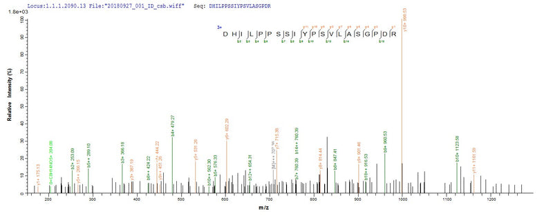 Based on the SEQUEST from database of E.coli host and target protein, the LC-MS/MS Analysis result of this product could indicate that this peptide derived from E.coli-expressed Homo sapiens (Human) DGKA.Recombinant Human Diacylglycerol Kinase Alpha (DGKA) Protein (His)