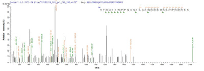 Based on the SEQUEST from database of E.coli host and target protein, the LC-MS/MS Analysis result of this product could indicate that this peptide derived from E.coli-expressed Homo sapiens (Human) DLAT.Recombinant Human Dihydrolipoyllysine-Residue Acetyltransferase Component Of Pyruvate Dehydrogenase Complex, Mitochondrial (DLAT) Protein (His)