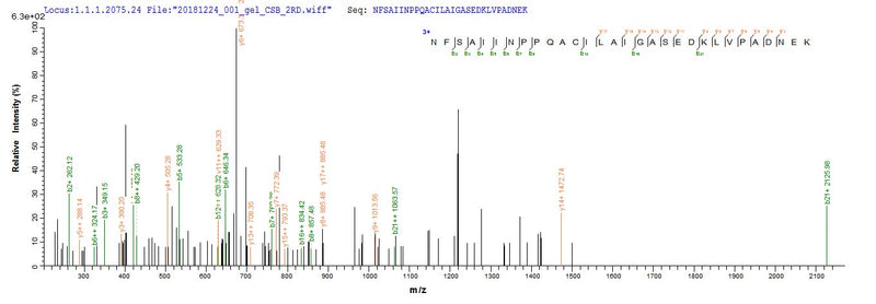 Based on the SEQUEST from database of E.coli host and target protein, the LC-MS/MS Analysis result of this product could indicate that this peptide derived from E.coli-expressed Homo sapiens (Human) DLAT.Recombinant Human Dihydrolipoyllysine-Residue Acetyltransferase Component Of Pyruvate Dehydrogenase Complex, Mitochondrial (DLAT) Protein (His)