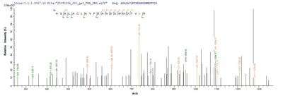 Based on the SEQUEST from database of E.coli host and target protein, the LC-MS/MS Analysis result of this product could indicate that this peptide derived from E.coli-expressed Homo sapiens (Human) DLAT.Recombinant Human Dihydrolipoyllysine-Residue Acetyltransferase Component Of Pyruvate Dehydrogenase Complex, Mitochondrial (DLAT) Protein (His)