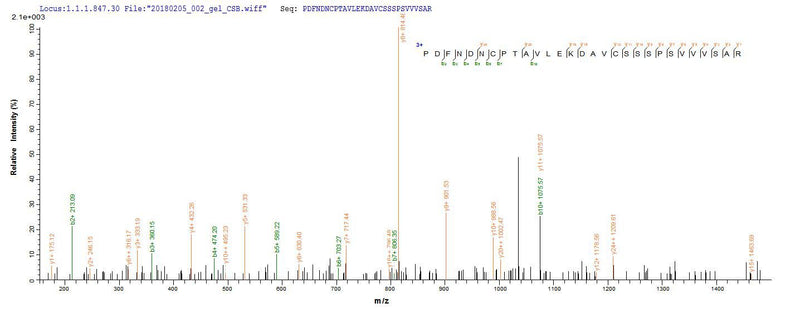 Based on the SEQUEST from database of E.coli host and target protein, the LC-MS/MS Analysis result of this product could indicate that this peptide derived from E.coli-expressed Homo sapiens (Human) DSG3.Recombinant Human Desmoglein-3 (DSG3) Protein (His-SUMO)
