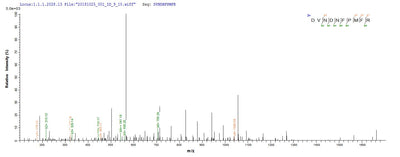 Based on the SEQUEST from database of E.coli host and target protein, the LC-MS/MS Analysis result of this product could indicate that this peptide derived from E.coli-expressed Homo sapiens (Human) DSG3.Recombinant Human Desmoglein-3 (DSG3) Protein (His)