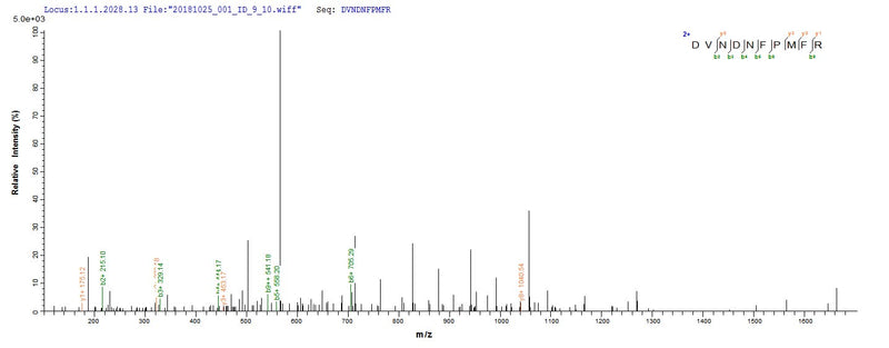 Based on the SEQUEST from database of E.coli host and target protein, the LC-MS/MS Analysis result of this product could indicate that this peptide derived from E.coli-expressed Homo sapiens (Human) DSG3.Recombinant Human Desmoglein-3 (DSG3) Protein (His)