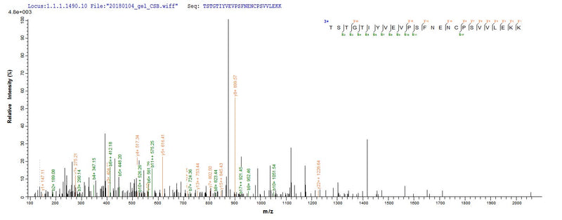 Based on the SEQUEST from database of E.coli host and target protein, the LC-MS/MS Analysis result of this product could indicate that this peptide derived from E.coli-expressed Mus musculus (Mouse) Dsg3.Recombinant Mouse Desmoglein-3 (DSG3) Protein (His-SUMO)
