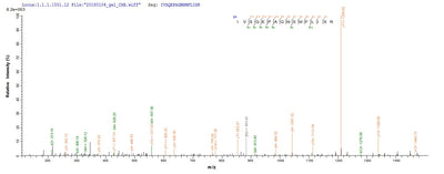Based on the SEQUEST from database of E.coli host and target protein, the LC-MS/MS Analysis result of this product could indicate that this peptide derived from E.coli-expressed Mus musculus (Mouse) Dsg3.Recombinant Mouse Desmoglein-3 (DSG3) Protein (His-SUMO)