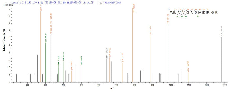 Based on the SEQUEST from database of E.coli host and target protein, the LC-MS/MS Analysis result of this product could indicate that this peptide derived from E.coli-expressed Mycobacterium tuberculosis (strain CDC 1551 / Oshkosh) tmk.