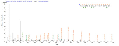 Based on the SEQUEST from database of E.coli host and target protein, the LC-MS/MS Analysis result of this product could indicate that this peptide derived from E.coli-expressed Homo sapiens (Human) EEF1A1.Recombinant Human Elongation Factor 1-Alpha 1 (EEF1A1) Protein (His-SUMO)