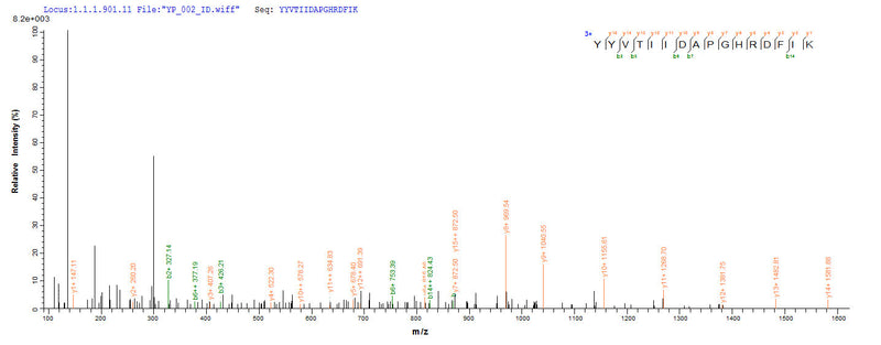 Based on the SEQUEST from database of E.coli host and target protein, the LC-MS/MS Analysis result of this product could indicate that this peptide derived from E.coli-expressed Homo sapiens (Human) EEF1A1.Recombinant Human Elongation Factor 1-Alpha 1 (EEF1A1) Protein (His-SUMO)