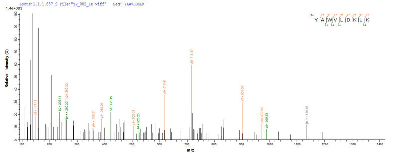 Based on the SEQUEST from database of E.coli host and target protein, the LC-MS/MS Analysis result of this product could indicate that this peptide derived from E.coli-expressed Homo sapiens (Human) EEF1A1.Recombinant Human Elongation Factor 1-Alpha 1 (EEF1A1) Protein (His-SUMO)
