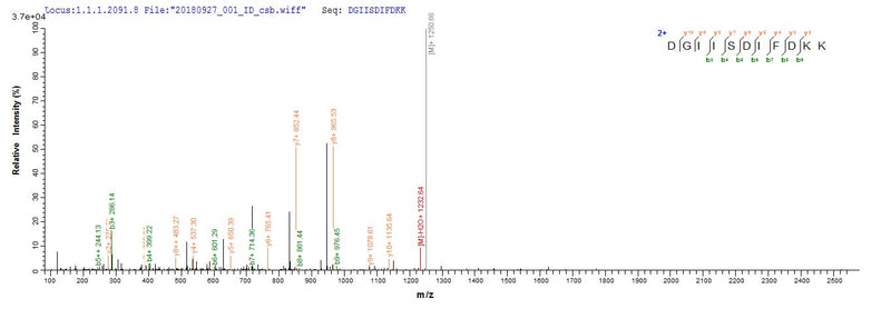 Based on the SEQUEST from database of E.coli host and target protein, the LC-MS/MS Analysis result of this product could indicate that this peptide derived from E.coli-expressed Homo sapiens (Human) EIF2AK2.Recombinant Human Interferon-Induced, Double-Stranded Rna-Activated Protein Kinase (EIF2AK2) Protein (His-SUMO)