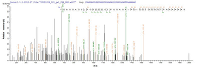 Based on the SEQUEST from database of E.coli host and target protein, the LC-MS/MS Analysis result of this product could indicate that this peptide derived from E.coli-expressed Mus musculus (Mouse) Eln.