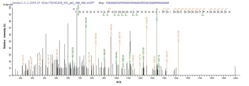 Based on the SEQUEST from database of E.coli host and target protein, the LC-MS/MS Analysis result of this product could indicate that this peptide derived from E.coli-expressed Mus musculus (Mouse) Eln.Recombinant Mouse Elastin (ELN) Protein (His)