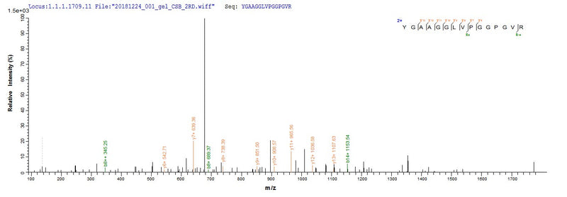 Based on the SEQUEST from database of E.coli host and target protein, the LC-MS/MS Analysis result of this product could indicate that this peptide derived from E.coli-expressed Mus musculus (Mouse) Eln.Recombinant Mouse Elastin (ELN) Protein (His)