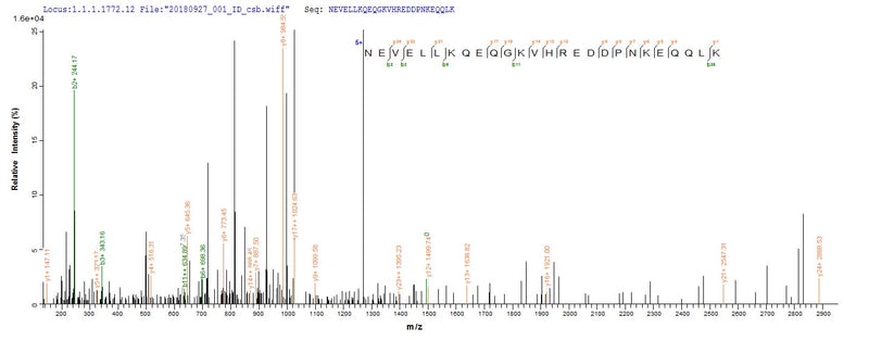 Based on the SEQUEST from database of E.coli host and target protein, the LC-MS/MS Analysis result of this product could indicate that this peptide derived from E.coli-expressed Homo sapiens (Human) ENOX2.