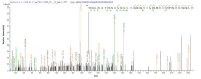 Based on the SEQUEST from database of E.coli host and target protein, the LC-MS/MS Analysis result of this product could indicate that this peptide derived from E.coli-expressed Homo sapiens (Human) ENOX2.