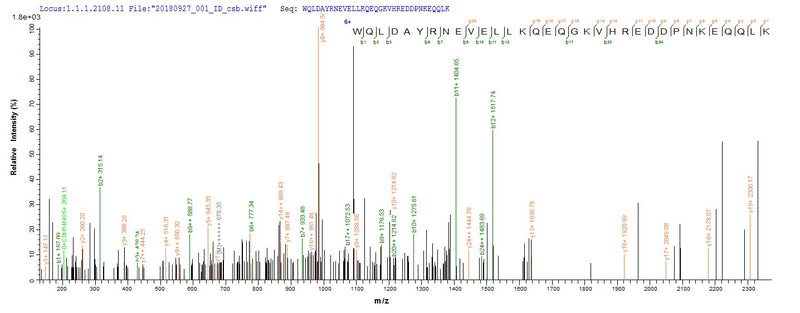 Based on the SEQUEST from database of E.coli host and target protein, the LC-MS/MS Analysis result of this product could indicate that this peptide derived from E.coli-expressed Homo sapiens (Human) ENOX2.