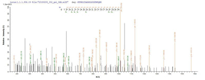 Based on the SEQUEST from database of E.coli host and target protein, the LC-MS/MS Analysis result of this product could indicate that this peptide derived from E.coli-expressed Homo sapiens (Human) EPHA2.Recombinant Human Ephrin Type-A Receptor 2 (EPHA2) Protein (His&Myc)