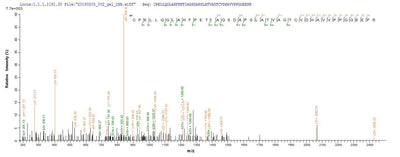 Based on the SEQUEST from database of E.coli host and target protein, the LC-MS/MS Analysis result of this product could indicate that this peptide derived from E.coli-expressed Homo sapiens (Human) EPHA2.Recombinant Human Ephrin Type-A Receptor 2 (EPHA2) Protein (His&Myc)