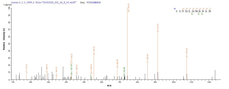 Based on the SEQUEST from database of E.coli host and target protein, the LC-MS/MS Analysis result of this product could indicate that this peptide derived from E.coli-expressed Homo sapiens (Human) ERBB2.Recombinant Human Receptor Tyrosine-Protein Kinase Erbb-2 (ERBB2) Protein (His)