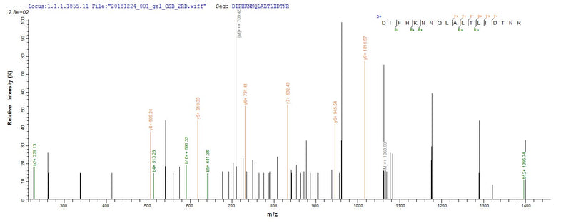 Based on the SEQUEST from database of E.coli host and target protein, the LC-MS/MS Analysis result of this product could indicate that this peptide derived from E.coli-expressed Homo sapiens (Human) ERBB2.Recombinant Human Receptor Tyrosine-Protein Kinase Erbb-2 (ERBB2) Protein (His)