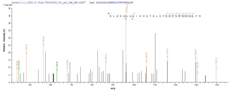 Based on the SEQUEST from database of E.coli host and target protein, the LC-MS/MS Analysis result of this product could indicate that this peptide derived from E.coli-expressed Homo sapiens (Human) ERBB2.Recombinant Human Receptor Tyrosine-Protein Kinase Erbb-2 (ERBB2) Protein (His)