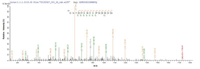 Based on the SEQUEST from database of E.coli host and target protein, the LC-MS/MS Analysis result of this product could indicate that this peptide derived from E.coli-expressed Homo sapiens (Human) F5.Recombinant Human Coagulation Factor V (F5) Protein (His-SUMO)