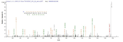 Based on the SEQUEST from database of E.coli host and target protein, the LC-MS/MS Analysis result of this product could indicate that this peptide derived from E.coli-expressed Homo sapiens (Human) F5.Recombinant Human Coagulation Factor V (F5) Protein (His-SUMO)