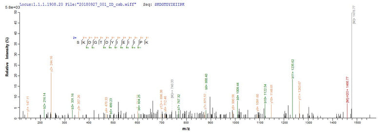 Based on the SEQUEST from database of E.coli host and target protein, the LC-MS/MS Analysis result of this product could indicate that this peptide derived from E.coli-expressed Homo sapiens (Human) F5.Recombinant Human Coagulation Factor V (F5) Protein (His-SUMO)