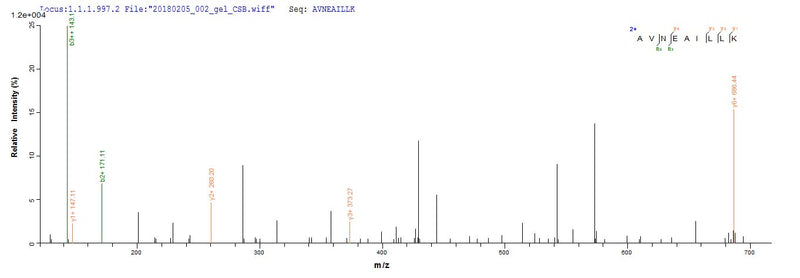 Based on the SEQUEST from database of E.coli host and target protein, the LC-MS/MS Analysis result of this product could indicate that this peptide derived from E.coli-expressed Homo sapiens (Human) FANCC.Recombinant Human Fanconi Anemia Group C Protein (FANCC) Protein (His-SUMO)