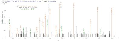Based on the SEQUEST from database of E.coli host and target protein, the LC-MS/MS Analysis result of this product could indicate that this peptide derived from E.coli-expressed Homo sapiens (Human) FANCC.Recombinant Human Fanconi Anemia Group C Protein (FANCC) Protein (His-SUMO)