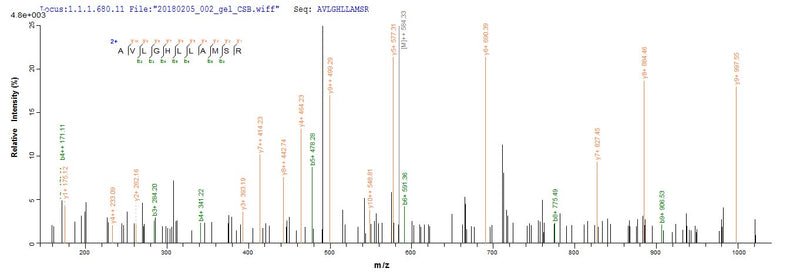 Based on the SEQUEST from database of E.coli host and target protein, the LC-MS/MS Analysis result of this product could indicate that this peptide derived from E.coli-expressed Homo sapiens (Human) FANCC.Recombinant Human Fanconi Anemia Group C Protein (FANCC) Protein (His-SUMO)
