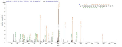 Based on the SEQUEST from database of E.coli host and target protein, the LC-MS/MS Analysis result of this product could indicate that this peptide derived from E.coli-expressed Homo sapiens (Human) FDFT1.Recombinant Human Squalene Synthase (FDFT1) Protein (His)