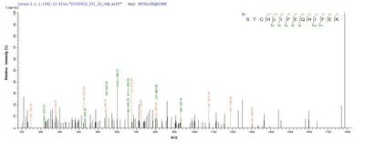Based on the SEQUEST from database of E.coli host and target protein, the LC-MS/MS Analysis result of this product could indicate that this peptide derived from E.coli-expressed Bos taurus (Bovine) FDX1.Recombinant Bovine Adrenodoxin, Mitochondrial (FDX1) Protein (His)