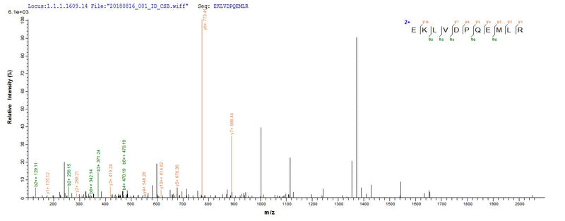 Based on the SEQUEST from database of E.coli host and target protein, the LC-MS/MS Analysis result of this product could indicate that this peptide derived from E.coli-expressed Homo sapiens (Human) FDXR.Recombinant Human Nadph:Adrenodoxin Oxidoreductase, Mitochondrial (FDXR) Protein (His-SUMO)